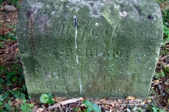 lhspw046